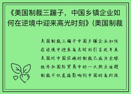 《美国制裁三蹦子，中国乡镇企业如何在逆境中迎来高光时刻》(美国制裁34家)